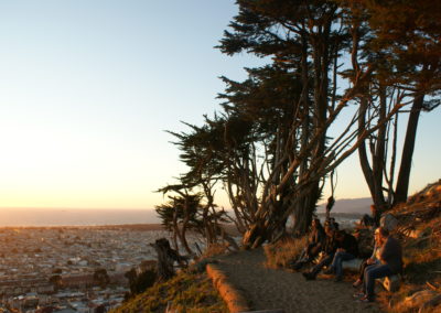 Golden Gate Heights